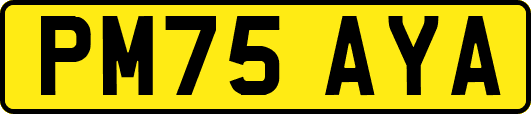 PM75AYA