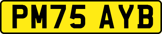 PM75AYB