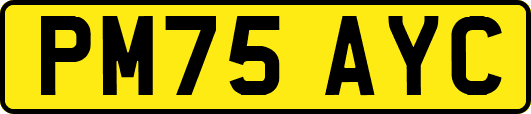 PM75AYC