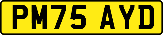 PM75AYD