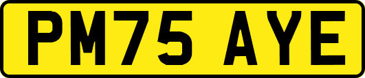 PM75AYE