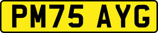 PM75AYG