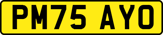 PM75AYO