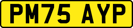 PM75AYP
