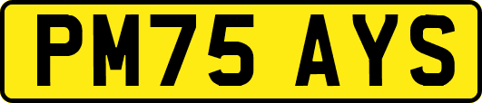 PM75AYS