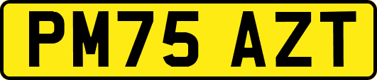 PM75AZT