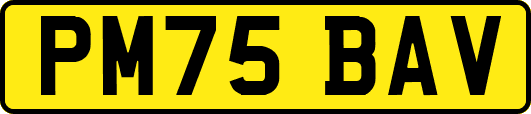 PM75BAV