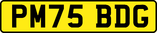 PM75BDG
