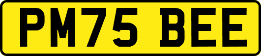 PM75BEE