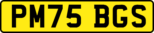 PM75BGS