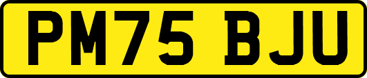 PM75BJU
