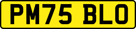 PM75BLO
