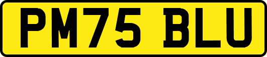 PM75BLU