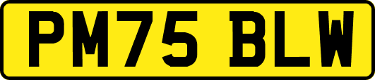 PM75BLW