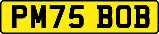 PM75BOB