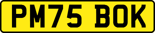 PM75BOK