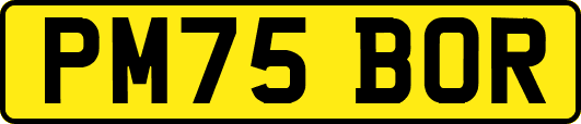 PM75BOR