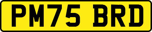 PM75BRD