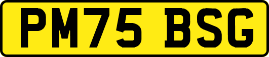 PM75BSG