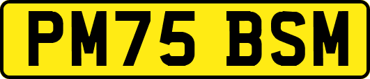 PM75BSM