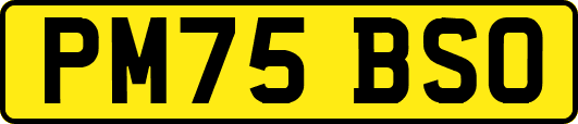 PM75BSO