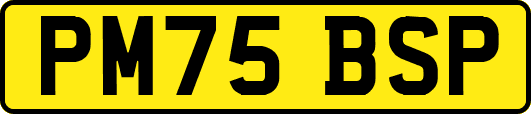 PM75BSP