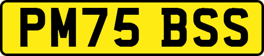 PM75BSS