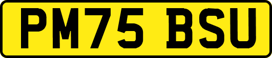 PM75BSU