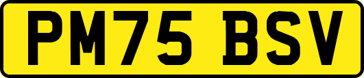 PM75BSV