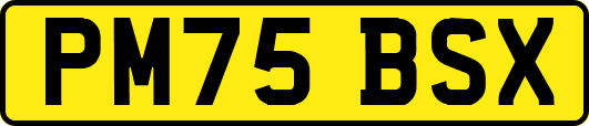 PM75BSX