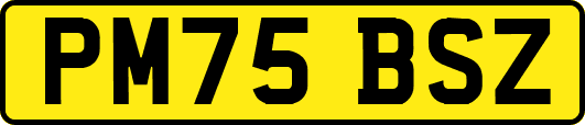 PM75BSZ