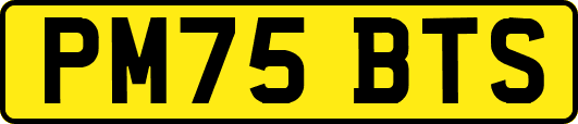 PM75BTS