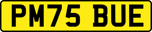 PM75BUE