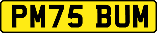 PM75BUM