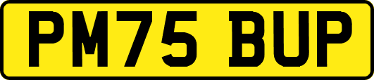 PM75BUP