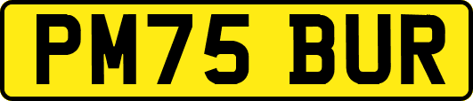 PM75BUR