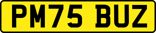 PM75BUZ