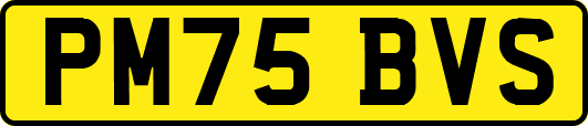 PM75BVS