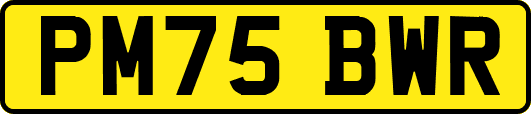 PM75BWR