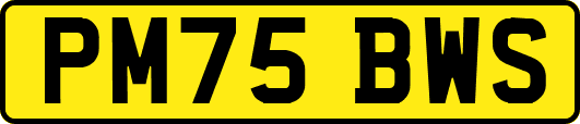 PM75BWS