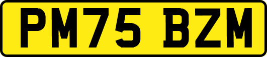 PM75BZM