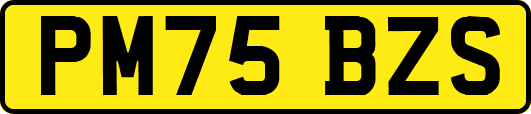 PM75BZS