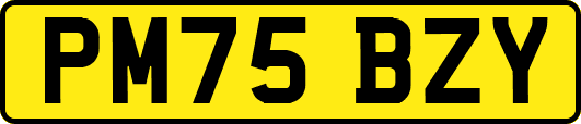 PM75BZY