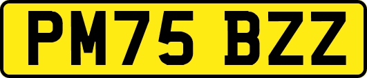 PM75BZZ