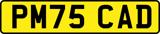 PM75CAD