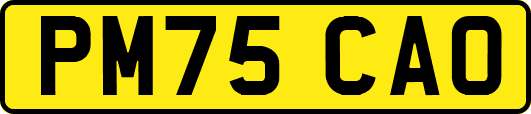 PM75CAO