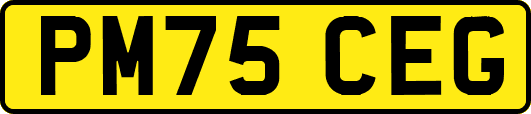 PM75CEG