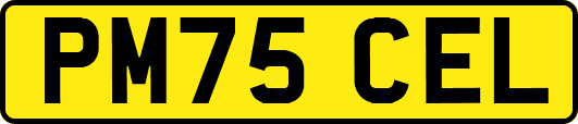 PM75CEL