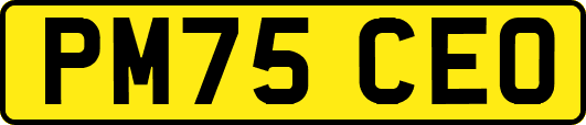 PM75CEO