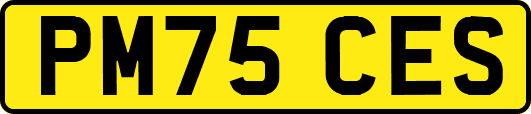 PM75CES